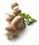 button mushrooms